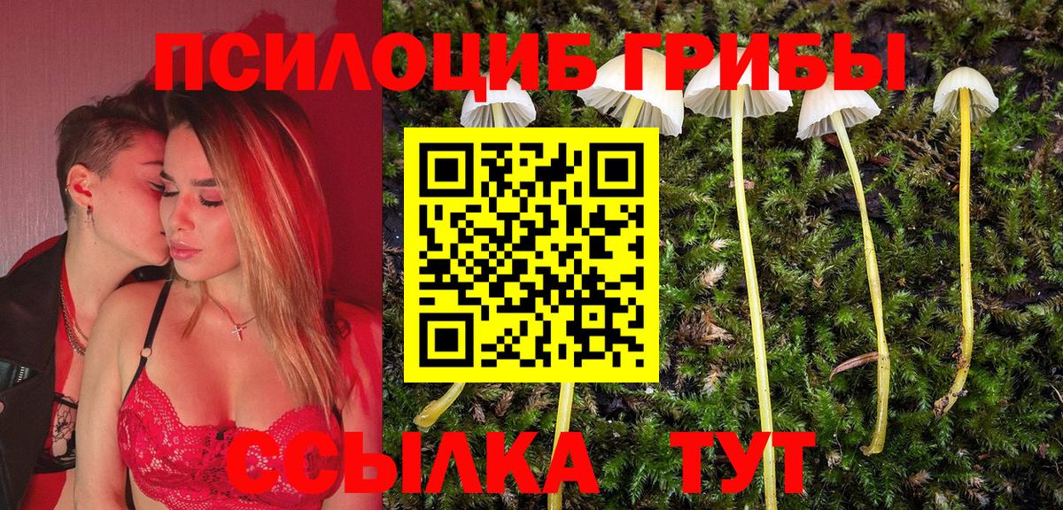 Печора  Галлюциногенные грибы ЛСД  Вход с VPN 